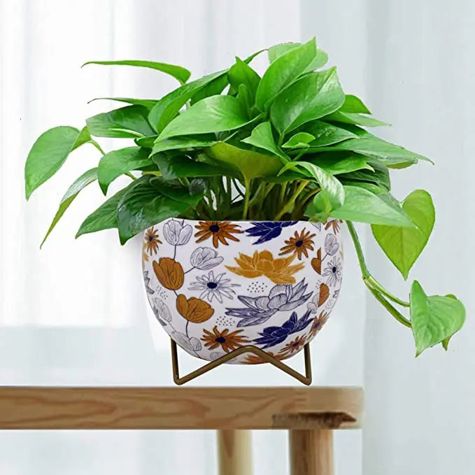 CINAGRO Floral-Printed Printed Planter/Flower Pot/Container with Iron Stand for Home SourceInfi